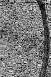 le mur en pierres de montmoirac 𝚜𝚘𝚞𝚜 𝚕𝚎𝚜 𝚙𝚒𝚎𝚛𝚛𝚎𝚜 𝚍𝚎 𝚜𝚒𝚕𝚎𝚗𝚌𝚎