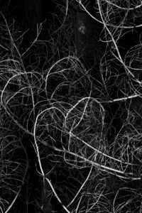 les deux coeurs 𝗳𝗲́𝗺𝗶𝗻𝗶𝗰𝗶𝗱𝗲