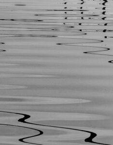 quai d'honneur aux moucherons 𝘁𝘂 𝘃𝗼𝘂𝗹𝗮𝗶𝘀 𝗺𝗲 𝗱𝗶𝗿𝗲 𝗾𝘂𝗲𝗹𝗾𝘂𝗲-𝗰𝗵𝗼𝘀𝗲